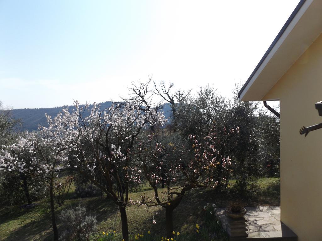 Villa Rocca Marciaga Exterior photo